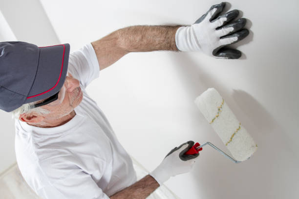 Best Drywall Crack Repair  in Menomonie, WI